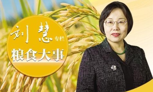 貔貅最旺的属相-水晶貔貅的功效与作用网—知名的水晶貔貅的功效与作用禁忌网站,分享水晶貔恘的作用知识